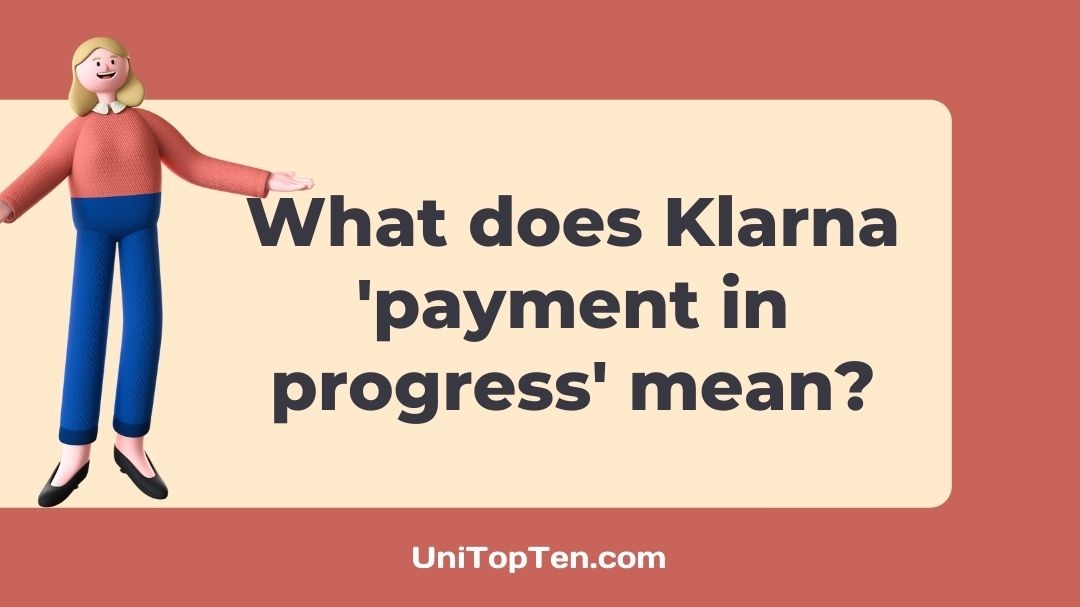 What does Klarna 'payment in progress' mean
