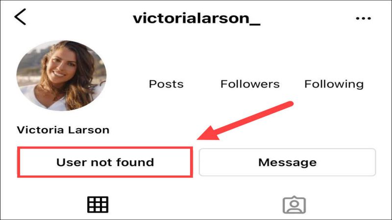 What does a deleted Instagram account look like